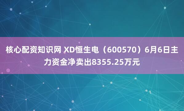核心配资知识网 XD恒生电（600570）6月6日主力资金净卖出8355.25万元